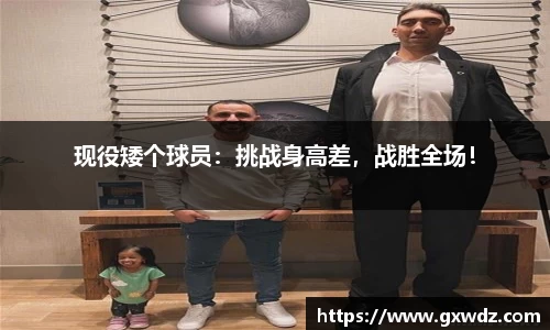 乐发lv官方网站
